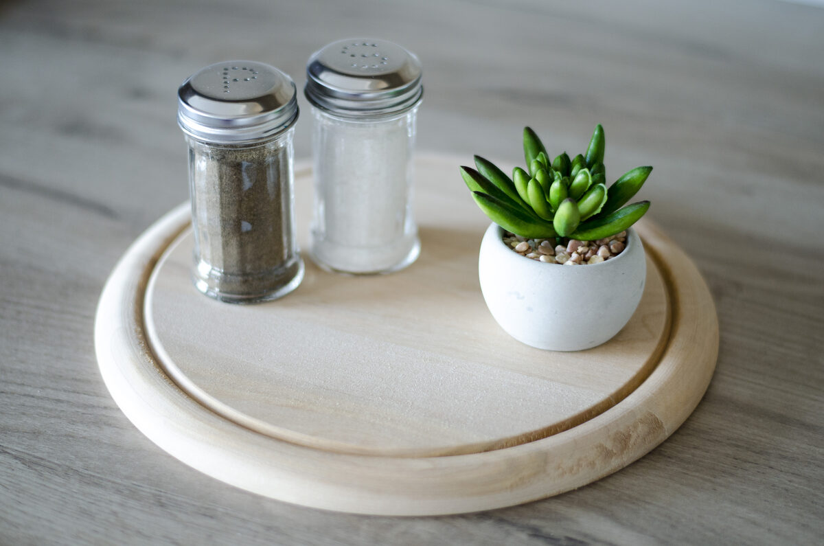 Kitchen counter detail with salt and pepper shakers and succulent plant
