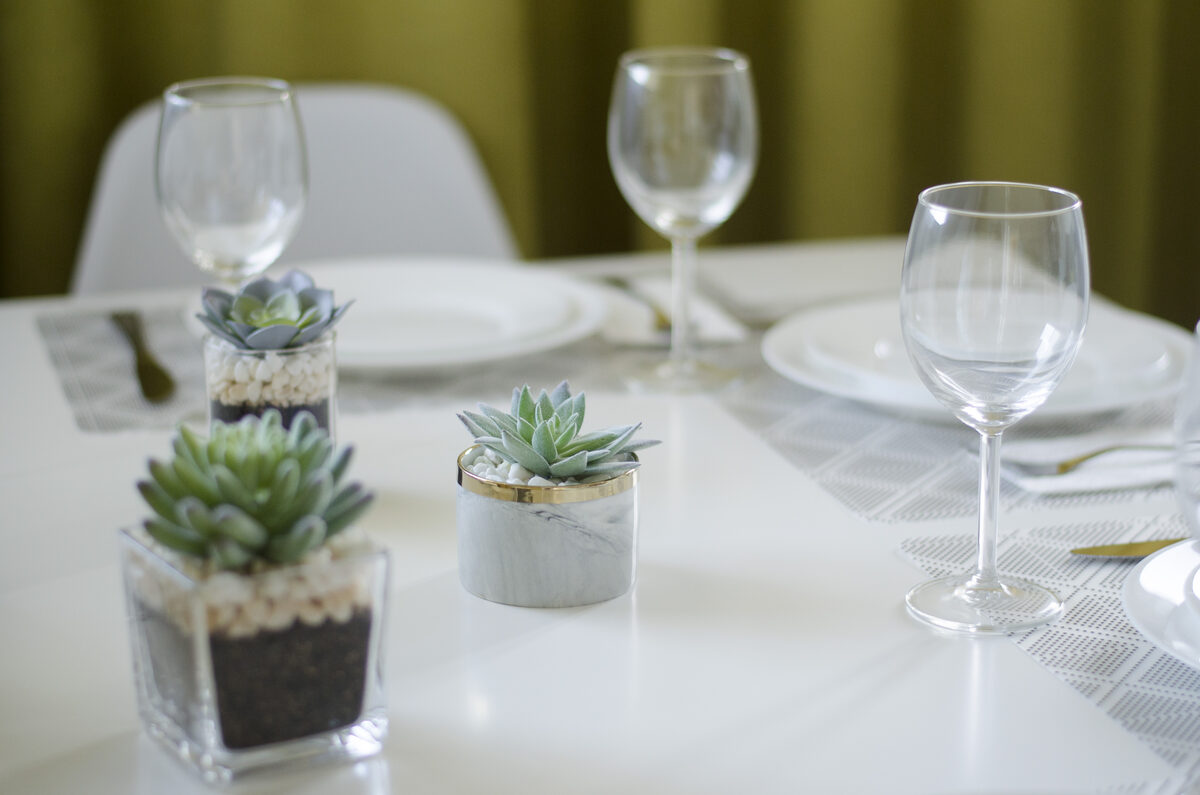 Close-up of dining table with white plates, wine glasses, and decorative succulents