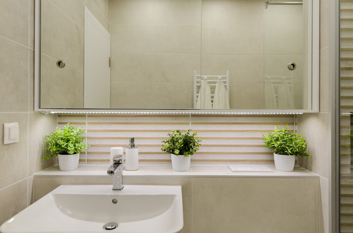 Bathroom vanity with mirror, decorative plants, and modern fixtures